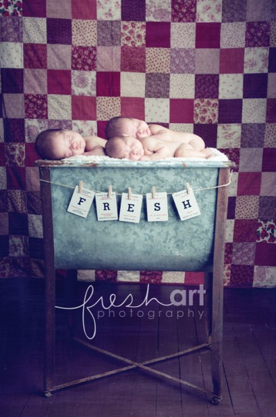 st. louis newborn triplet photographers