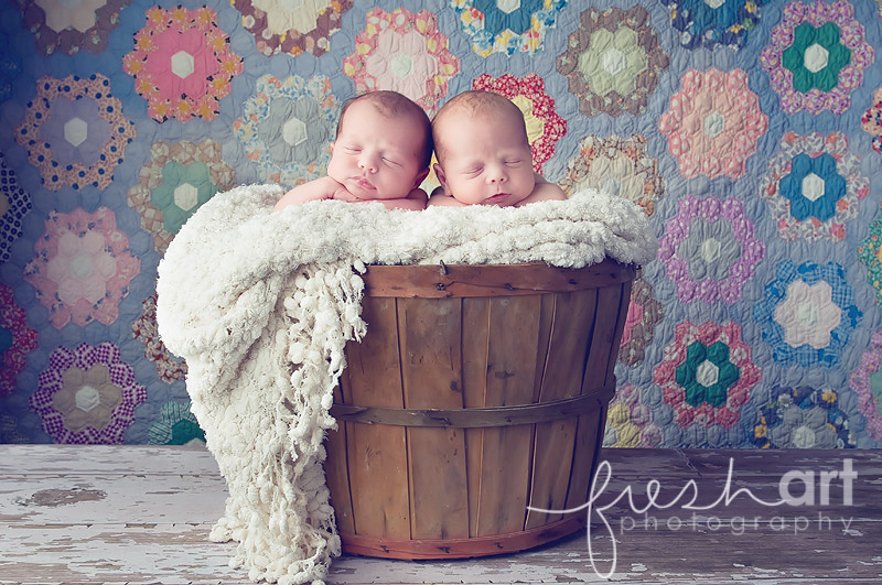 st. louis newborn twin photographers