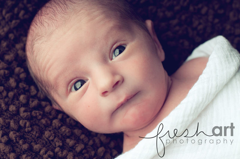 James (and a few random thoughts at the end) {St. Louis Newborn Photographers}