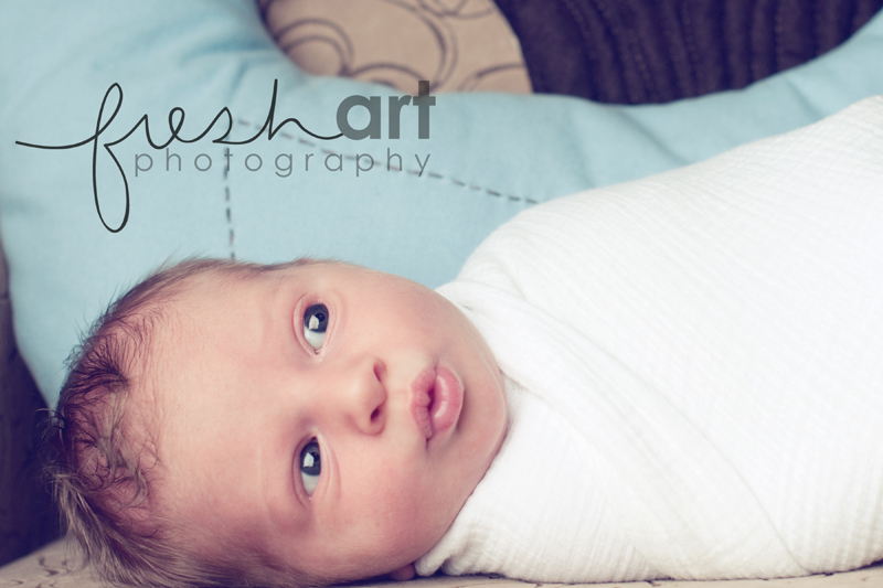 Owen. {St. Louis Newborn Photographers}