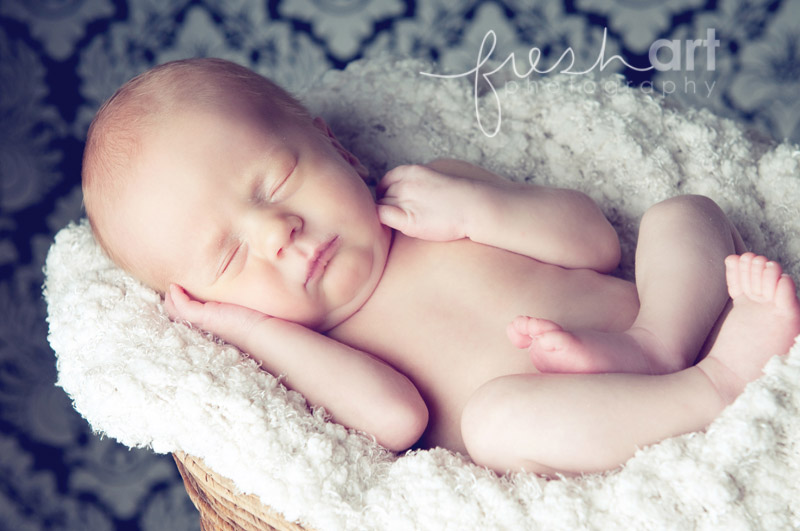 saint louis newborn photographer