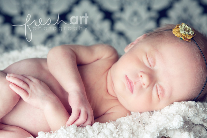 st. louis newborn triplet photographers