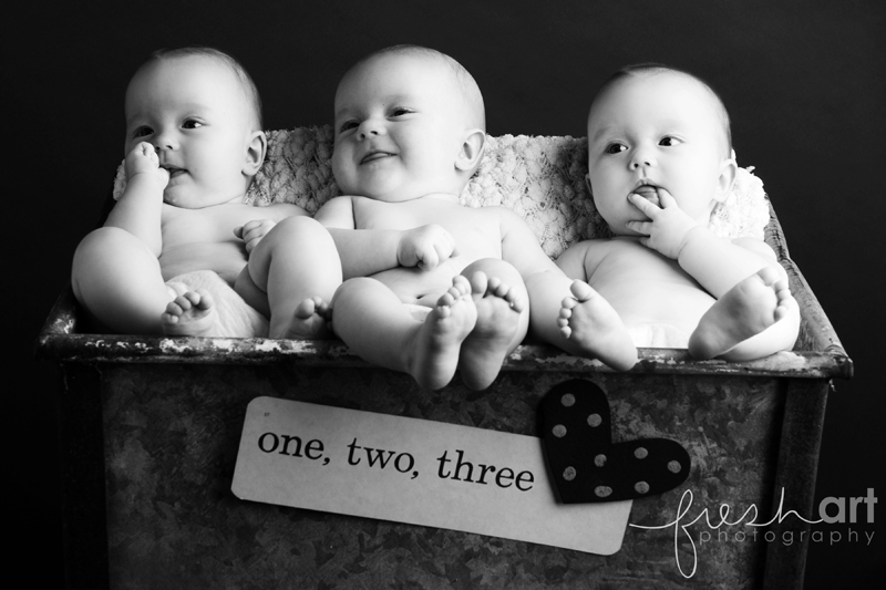 st. louis triplet baby photographers