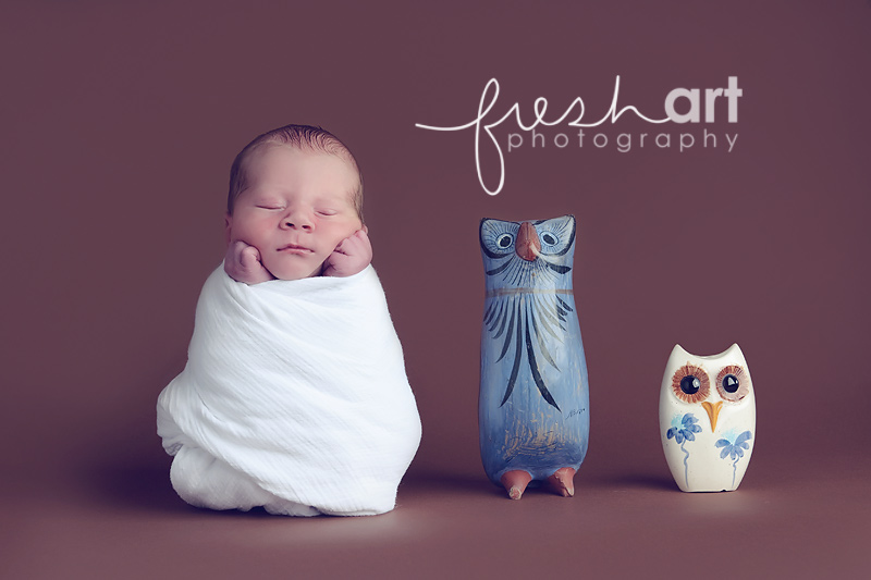 saint louis newborn photographers