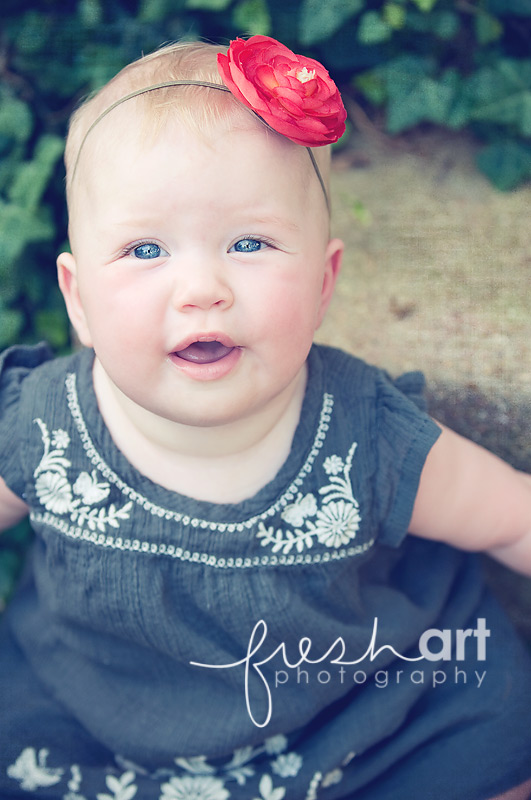 st. louis baby photographers