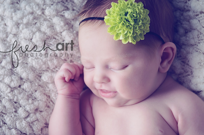 st. louis newborn photography