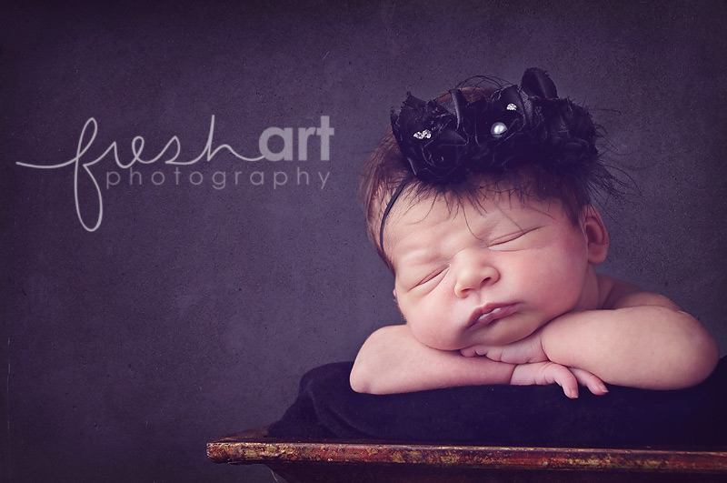 st. louis newborn photographers