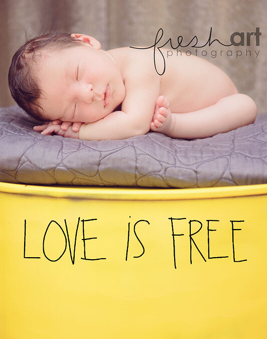 Levi | St. Louis Newborn Photographers