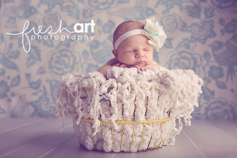 Avery | St. Louis Newborn Photographers