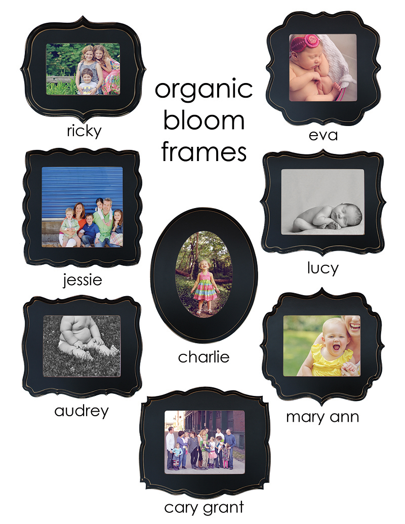 organic bloom frames sample sheet one web